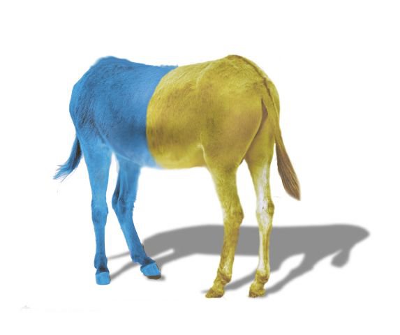 На манеже всё те же На манеже всё те же