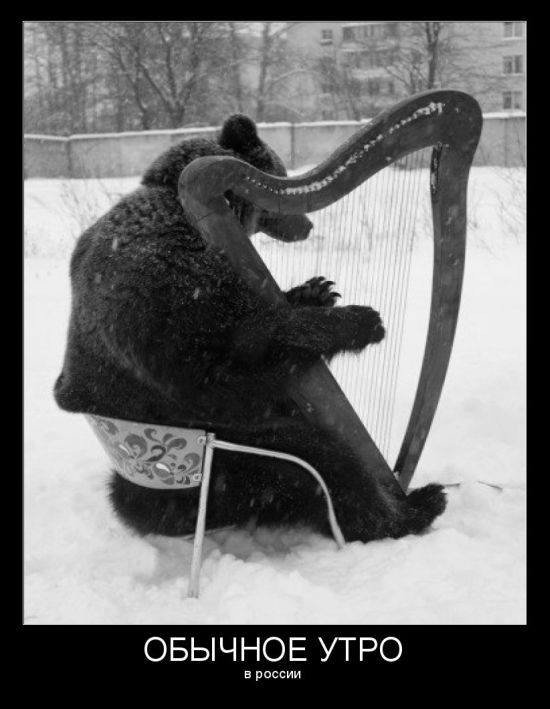 Подборка картинок, смешных и не очень Подборка картинок, смешных и не очень