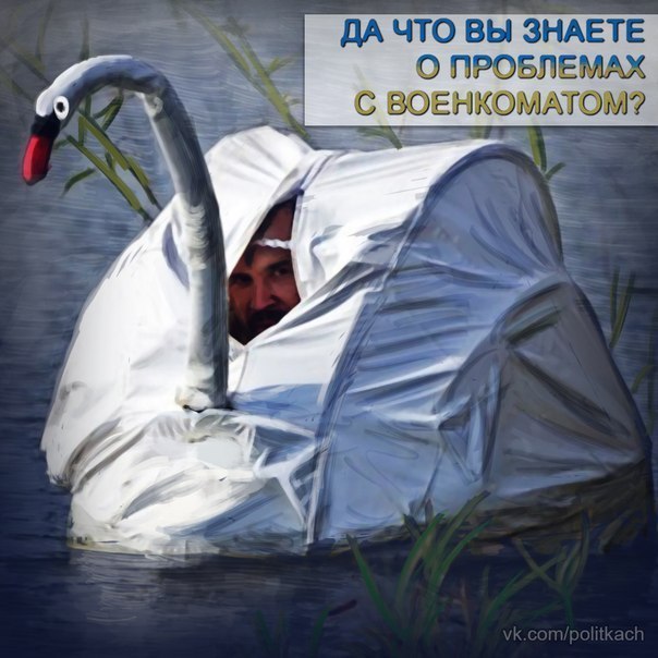 Подборка картинок, смешных и не очень Подборка картинок, смешных и не очень