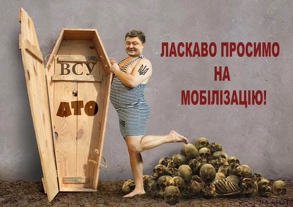 Подборка картинок, смешных и не очень Подборка картинок, смешных и не очень