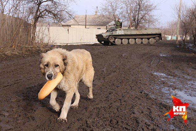 Ополченец-священник: Я благословляю защищать, а не убивать Ополченец-священник: Я благословляю защищать, а не убивать