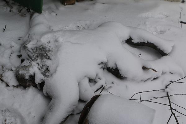 Сводки от ополчения Новороссии 16.02.2015 Сводки от ополчения Новороссии 16.02.2015