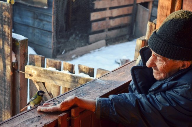 20 фотографий, на которые невозможно смотреть равнодушно 20 фотографий, на которые невозможно смотреть равнодушно