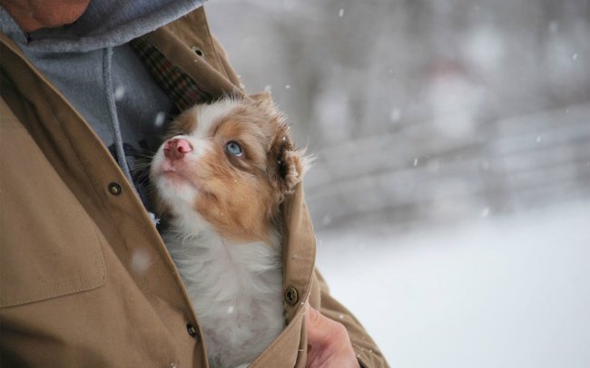 20 фотографий, на которые невозможно смотреть равнодушно 20 фотографий, на которые невозможно смотреть равнодушно
