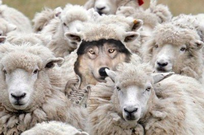 Европа признала: международные правила - это для слабых Европа признала: международные правила - это для слабых