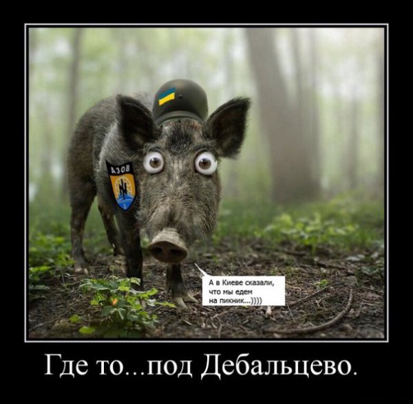 "Мыздобулы" в картинках. Смешных и не очень... 18-02-2015