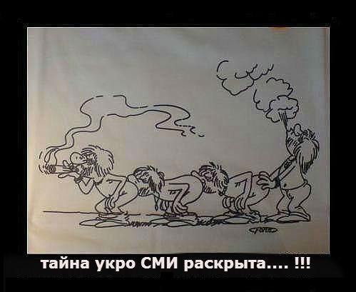 Подборка картинок, смешных и не очень