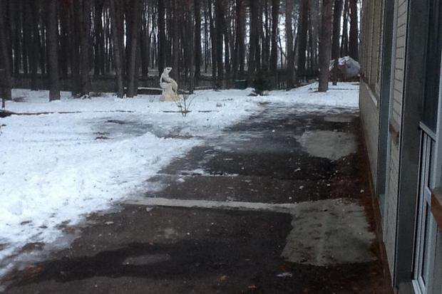 Новая фишка у мэров городов: И на меня кто-то покушался. Взорвалось