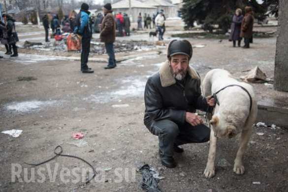 Дебальцево после разгрома ВСУ: небольшие бои в окрестностях, жители выходят из подвалов, где жили неделями