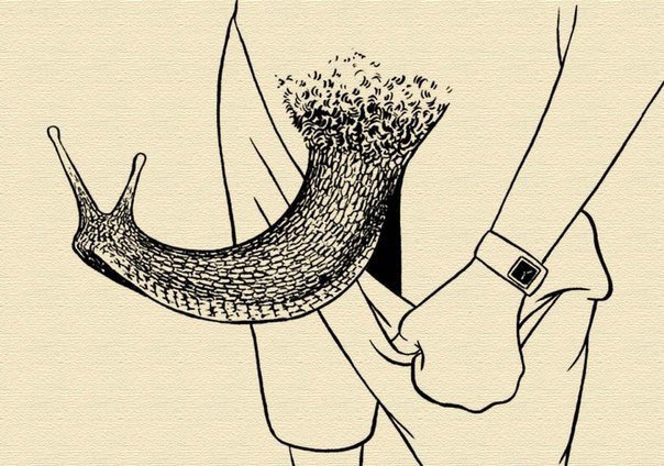 Кончита Залищук-Ковбаса Кончита Залищук-Ковбаса