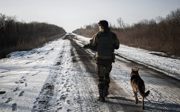 CNN: ополченцы Донбасса действуют как государство, а не как мятежники