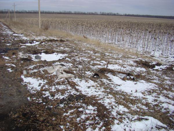 Сводки от ополчения Новороссии 24.02.2015