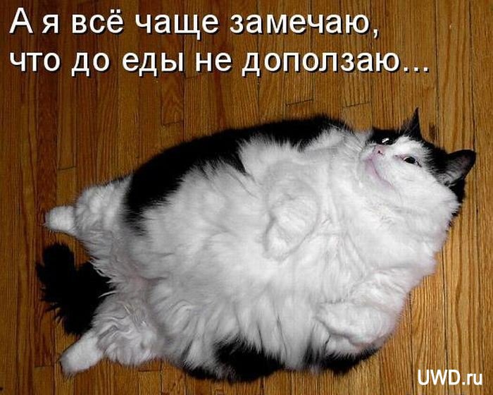 Надя Савченко продолжает голодать Надя Савченко продолжает голодать