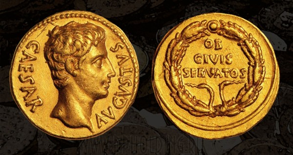 Приключения гривы Приключения гривы