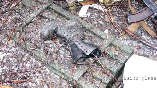 Фото-репортаж из Никишино от военкора "Борисыча"