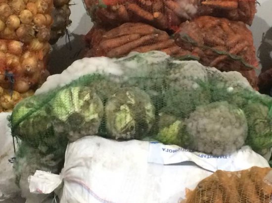 В Мариуполе нашли 40 тонн сгнивших овощей из украинской гумпомощи