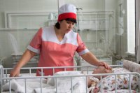 Закон джунглей в Луганске не работает