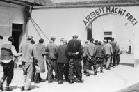 Украинские концлагеря – необходимый атрибут западной Демократии.