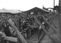 Украинские концлагеря – необходимый атрибут западной Демократии.