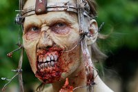 Ученые назвали лучшее место для спасения от зомби-апокалипсиса