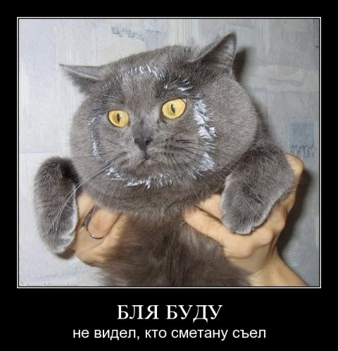 Джон Керри заявил о непричастности США к «цветным революциям» Джон Керри заявил о непричастности США к «цветным революциям»