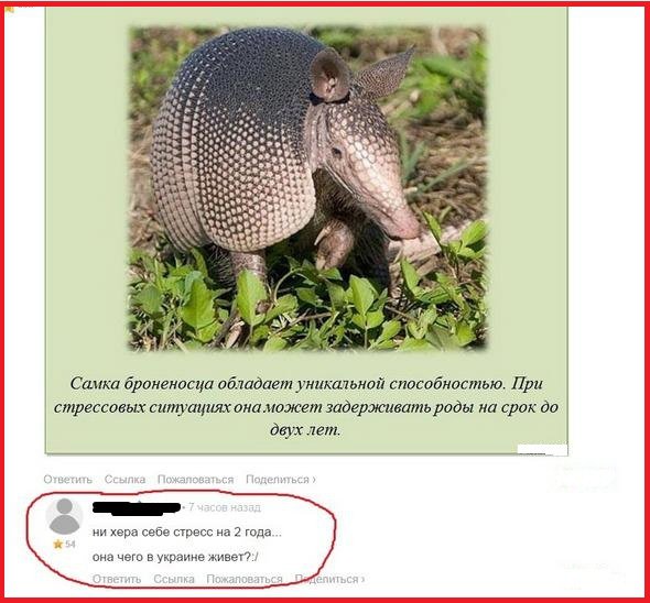 "Мыздобулы" в картинках. Смешных и не очень... 05-03-2015