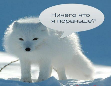 Не зря мы над смертью смеялись... Не зря мы над смертью смеялись...