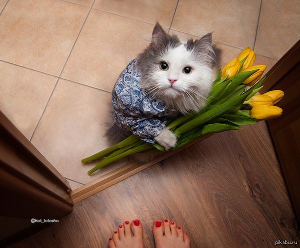 Дорогие девушки! с праздником Вас! Дорогие девушки! с праздником Вас!