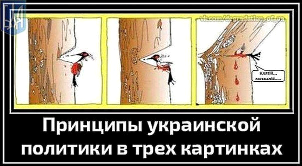 Укроарифметика и церебральный хохлоглист Укроарифметика и церебральный хохлоглист