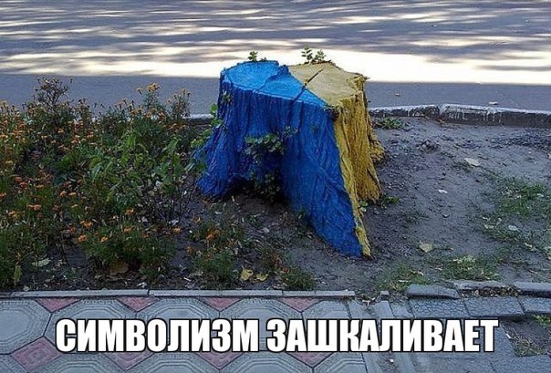 Подборка картинок, смешных и не очень 12-03-2015 Подборка картинок, смешных и не очень 12-03-2015