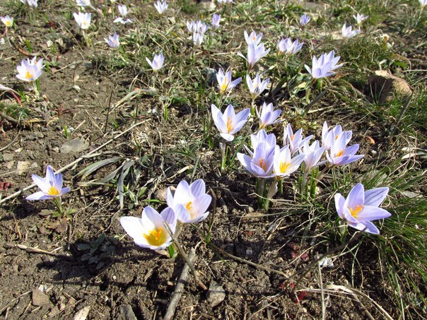 Сводки от ополчения Новороссии 14.03.2015 Сводки от ополчения Новороссии 14.03.2015
