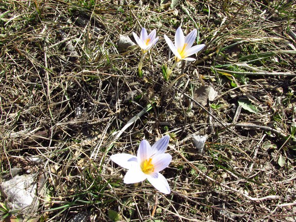 Сводки от ополчения Новороссии 14.03.2015 Сводки от ополчения Новороссии 14.03.2015
