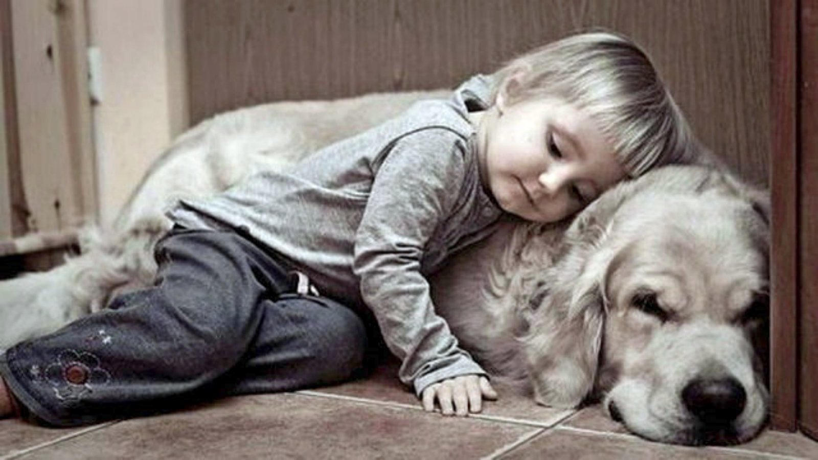 Рассказ, из жизни людей и собак Рассказ, из жизни людей и собак