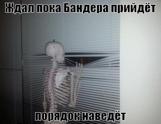 Подборка картинок, смешных и не очень 17.03.2015 Подборка картинок, смешных и не очень 17.03.2015