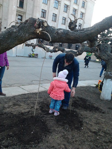 Сводки от ополчения Новороссии 25.03.2015 Сводки от ополчения Новороссии 25.03.2015
