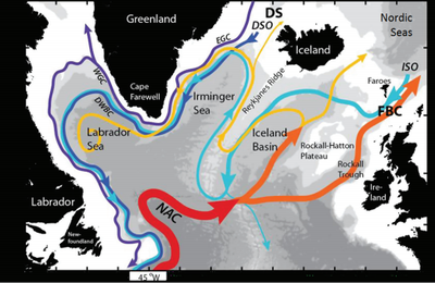 Новое исследование: Гольфстрим ослабился до самого низкого уровня за 1100 лет Новое исследование: Гольфстрим ослабился до самого низкого уровня за 1100 лет
