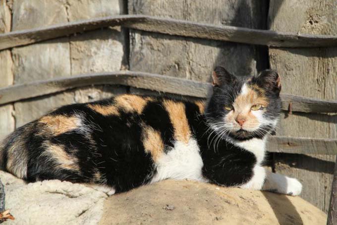 Коротко о важном Коротко о важном