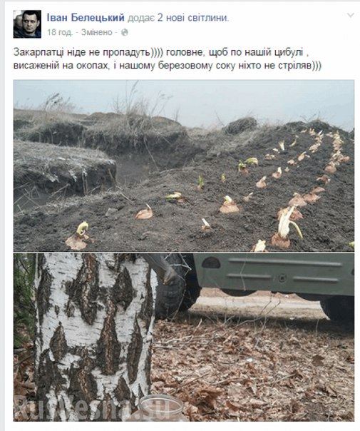 Сводки от ополчения Новороссии 30.03.2015