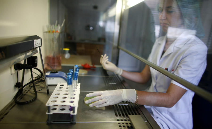 Американская супербактерия начала распространяться по воздуху, создав угрозу глобальной эпидемии Американская супербактерия начала распространяться по воздуху, создав угрозу глобальной эпидемии