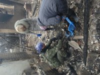 Сводки от ополчения Новороссии 04.03.2015