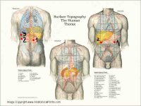 7 странностей смерти Бориса Немцова