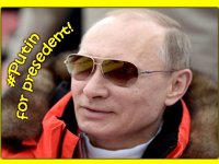 «Путина в президенты США!» 