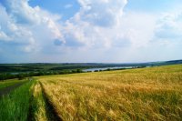 Вариативен и удивителен русский язык 