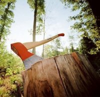 Латышам советуют запастись топорами