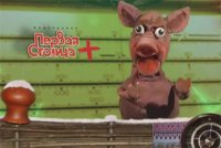 «Первая Столица плюс». Выпуск 15