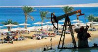 СМИ: Украина может лишиться права на добычу нефти в Египте