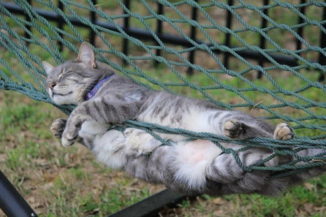 Веселые фотки 