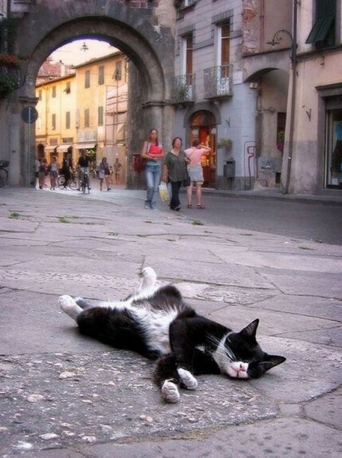 Веселые фотки 