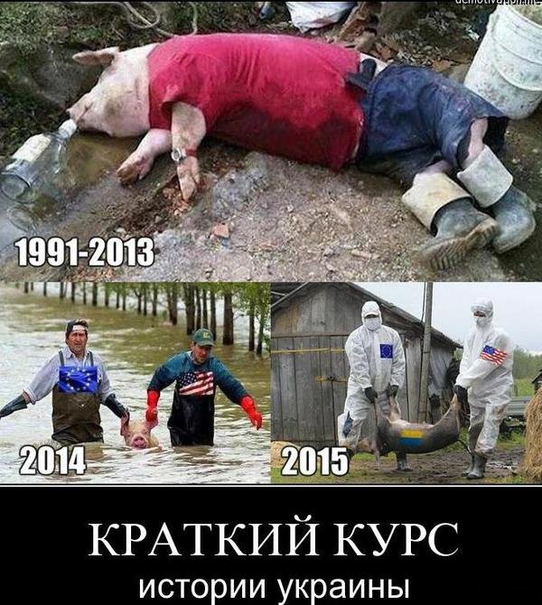"Мыздобулы" в картинках. Смешных и не очень...1-04-2015