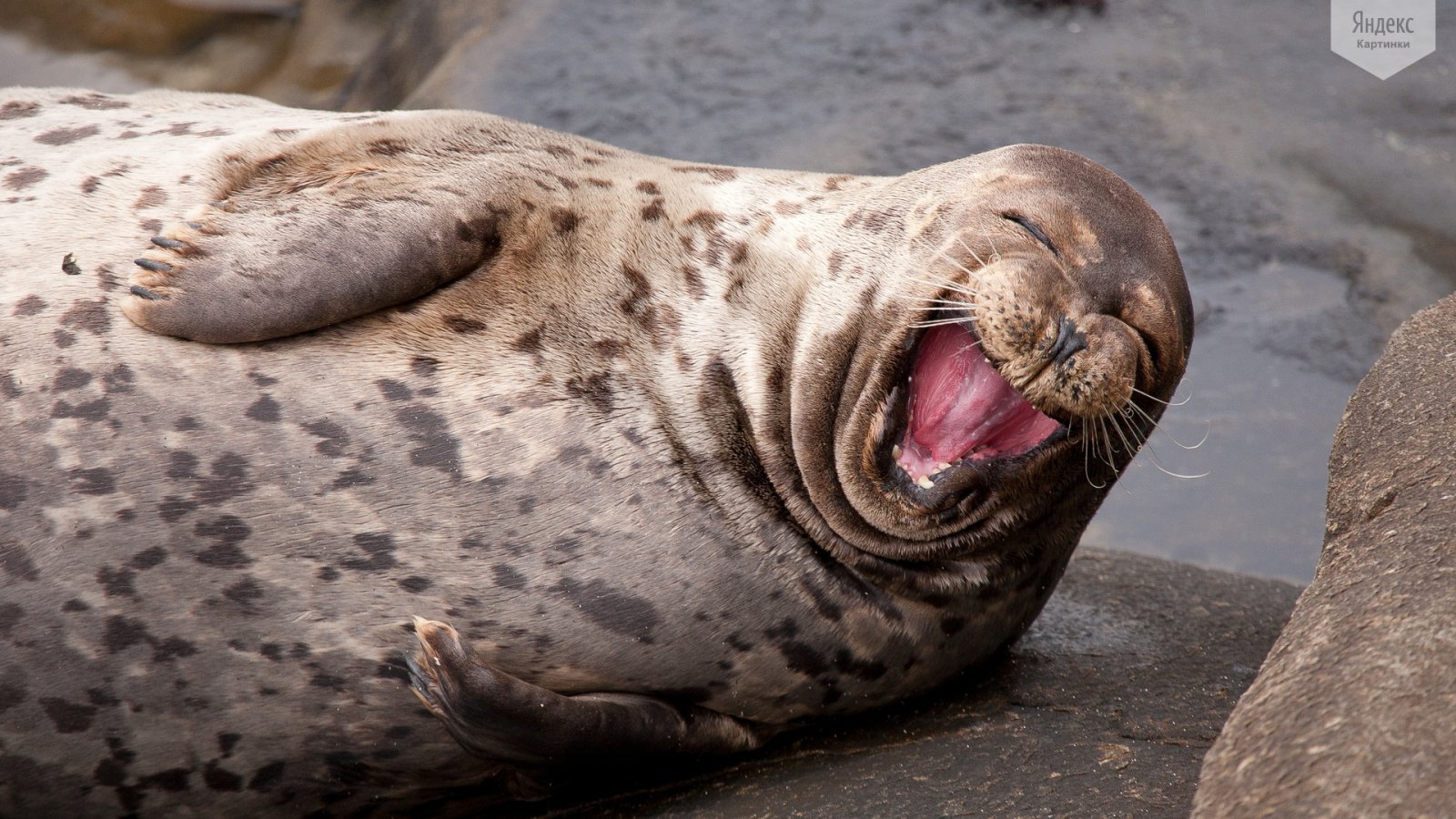 В Минфине США выразили озабоченность стартом торгов фьючерсом на валютную пару "рубль-юань" В Минфине США выразили озабоченность стартом торгов фьючерсом на валютную пару "рубль-юань"